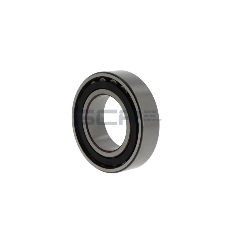 Toroidial roller bearings C2210  TN9